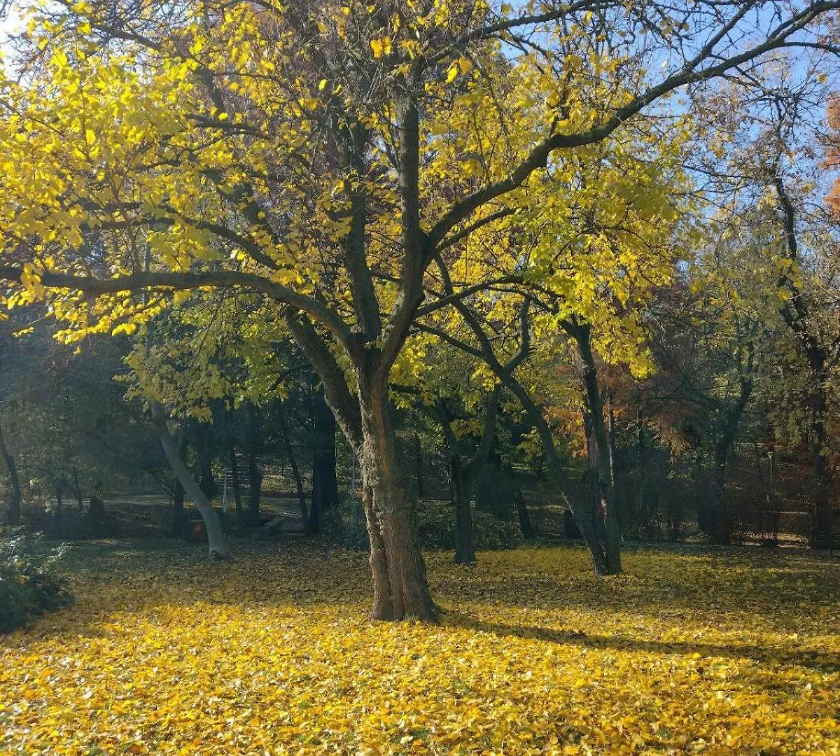 Central Area Park Carol Apartament Apartman Bukarest